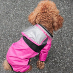 pink / 4XL
