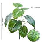 HYY-12Y-60-Z22 / China Mainland