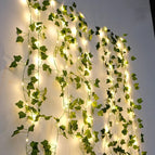 Ivy Vines / 5M 50LEDs