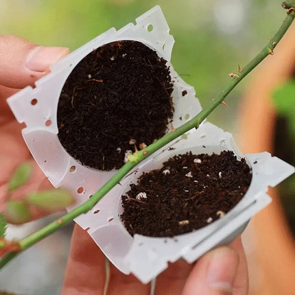 5/8/12cm Air Layering Pods Plant Rooting Ball High Pressure Propagation Root Grow Box Graft Breeding Case Planting Nursery Pot