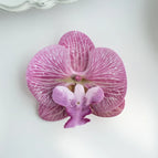plum / 50pcs