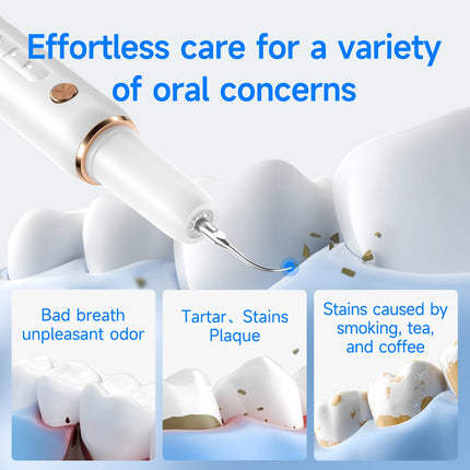 CURVY MOON T4 Electric Tooth Cleaner 5 Smart Modes Dental Scaler Calculus Tartar Smoke Satins Plaque Removal Teeth Whitening
