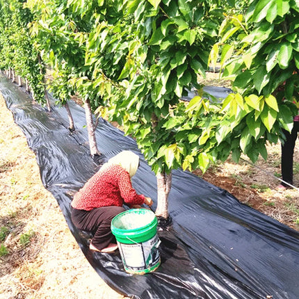 Person working beside a tree base over laid black plastic mulch