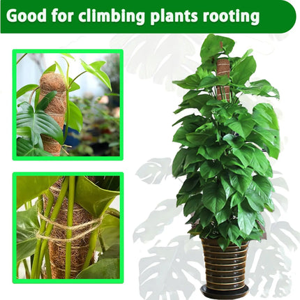 Moss Pole 38/43/53CM Monstera Plant Support Stackable Moss Poles for Plants Coir Totem Pole Tall Moss Pole for Climbing Plants