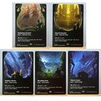 shock land(5PCS) 1