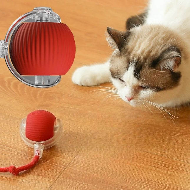 Automatic Interactive Ball Cat Toys Rolling Ball Rolling Ball Electric Dog and Cat Training to Imitate - product image 2