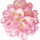 Blush Pink