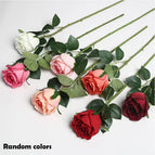 Random colors / 3PCS