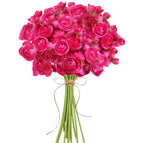 Rose / 30pcs