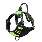 Green / XL(30-50KG)