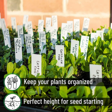 1‌00pcs/4 Inch Plastic Plant Labels with Permanent Pen - Outdoor Garden Seedling Markers