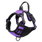 Purple / S(4-7KG)