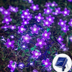 Purple / 22M 200leds 8 modes