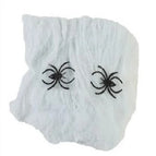 Spider web white