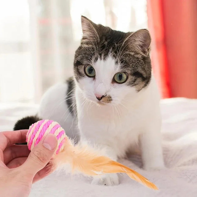 Pet Cat Toys Sisal Feather Ball Cat Scratch Ball Toys Pet Supplies Random Color игрушки для кошек - product image 2