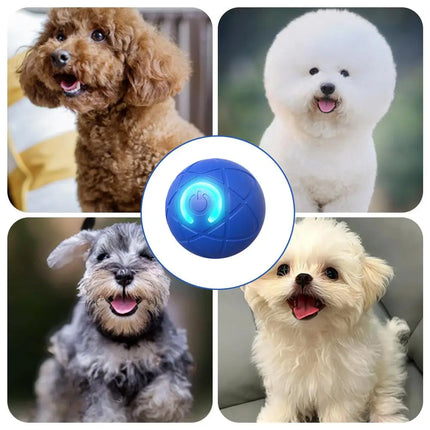 Electronic Interactive Pet Toy Smart Dog Toy Ball USB Automatic Moving Bouncing for Puppy Birthday Gift Cat Products Blue Orange