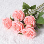 Silk clothB19 / 10PCS