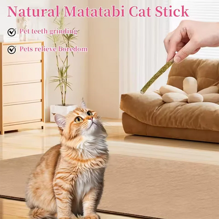 Pet Cat Peppermint Teeth Teeth Teeth Cleaning Bite Stick Teasing Cat Stick Cat Bite Resistant Soothing Snack