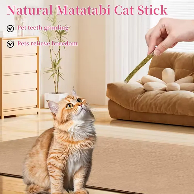 Pet Cat Peppermint Teeth Teeth Teeth Cleaning Bite Stick Teasing Cat Stick Cat Bite Resistant Soothing - product image 2