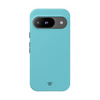 Google Pixel 9 / Matte